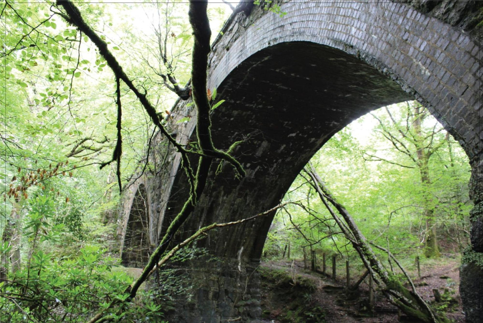 Afon Rhaiadr Country House Dolgellau Bagian luar foto