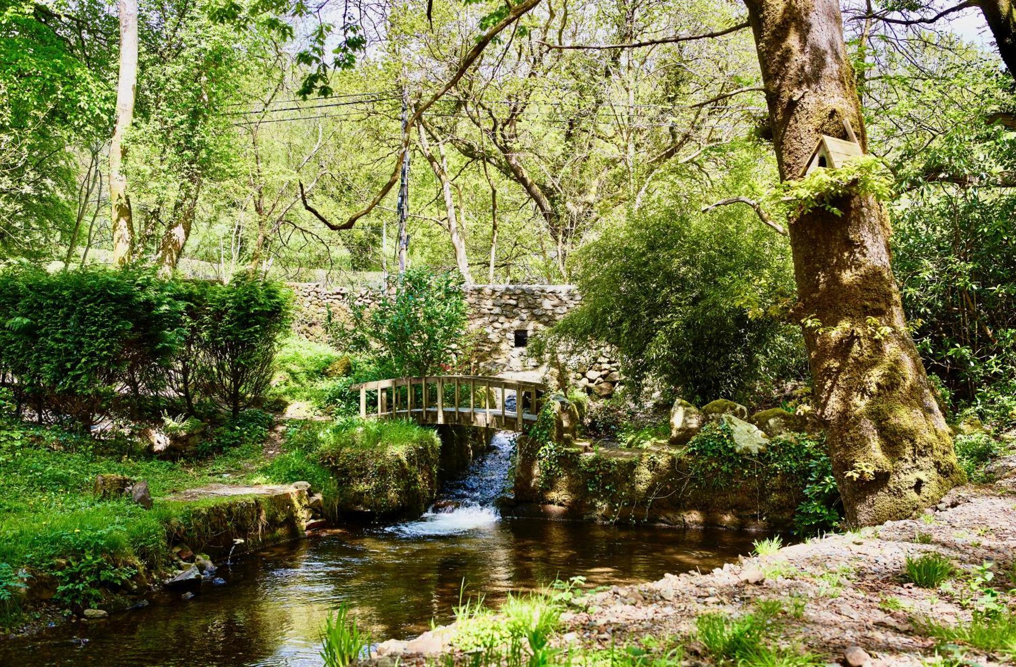 Afon Rhaiadr Country House Dolgellau Bagian luar foto